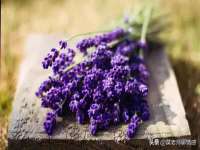 贵州模湖科技有限公司