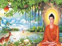 贵州模湖科技有限公司