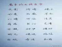 贵州模湖科技有限公司
